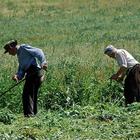 Turisme Rural Lo Palle De Cal Bosch Llagunes エクステリア 写真