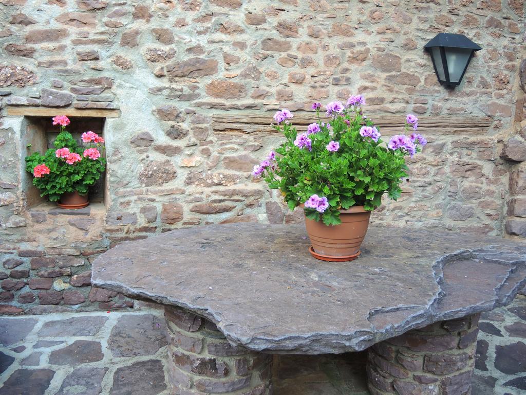 Turisme Rural Lo Palle De Cal Bosch Llagunes エクステリア 写真