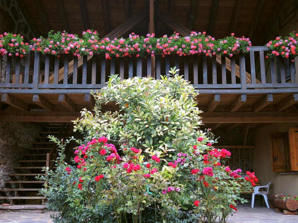 Turisme Rural Lo Palle De Cal Bosch Llagunes エクステリア 写真