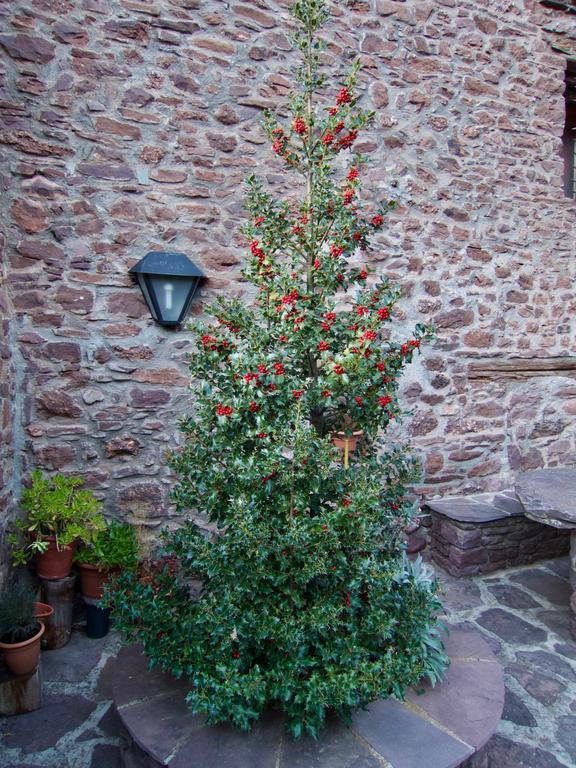 Turisme Rural Lo Palle De Cal Bosch Llagunes エクステリア 写真