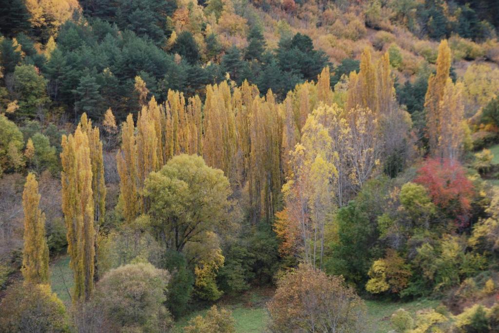 Turisme Rural Lo Palle De Cal Bosch Llagunes エクステリア 写真