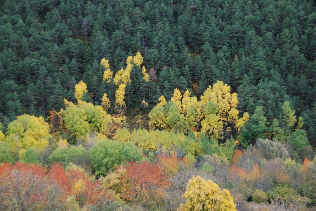 Turisme Rural Lo Palle De Cal Bosch Llagunes エクステリア 写真