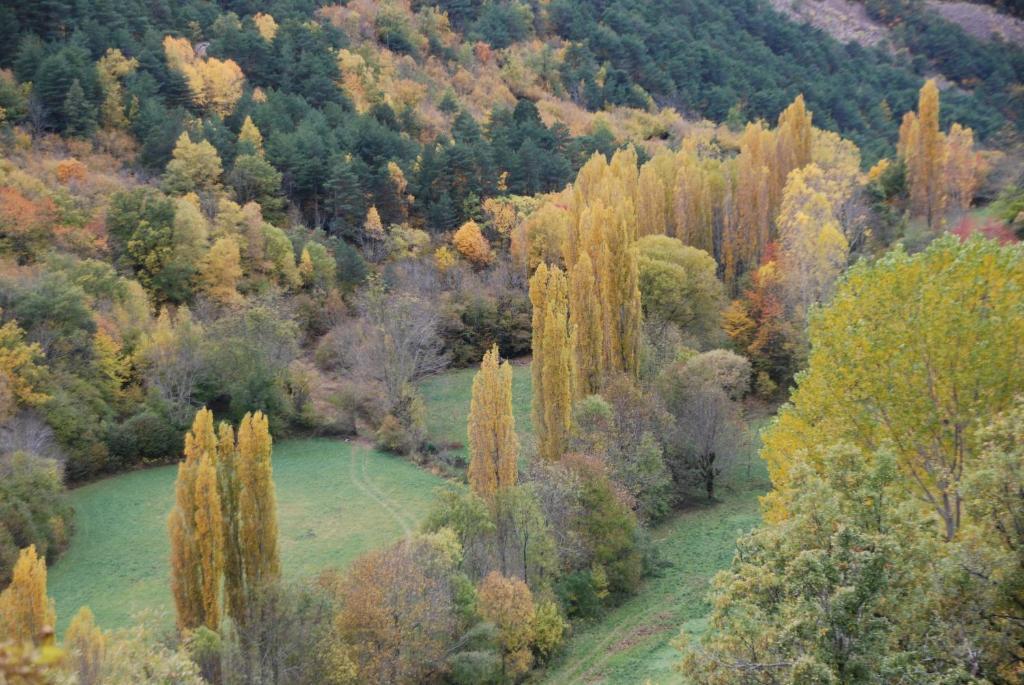 Turisme Rural Lo Palle De Cal Bosch Llagunes エクステリア 写真